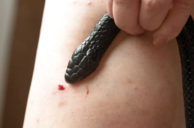 SNAKE BITE 1